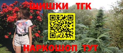 стаф Камышлов