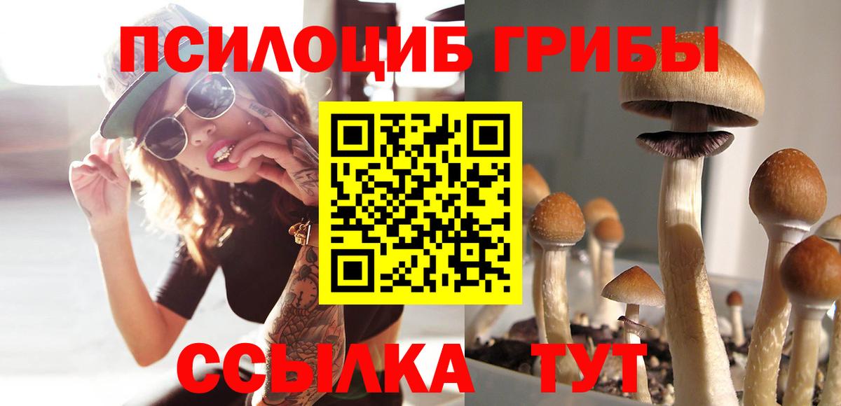 Кудрово  Псилоцибиновые грибы GOLDEN TEACHER  Вход с VPN 